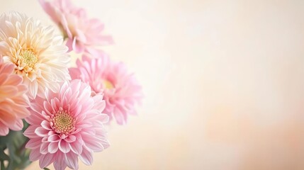 Pastel floral concept. Beautiful pink flowers arranged elegantly on a soft blurred background.