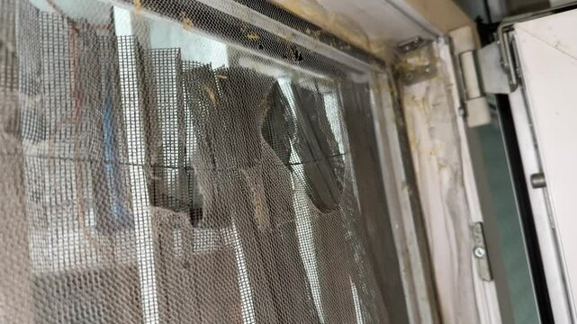 Broken teared damaged old net window mesh metal texture pattern dusty surface frame house flat apartment rural countryside background insect protection mosquito prevention disease in iran landscape