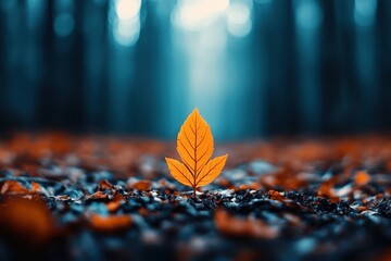 Single orange leaf sprouts from dark soil, blurred forest background. Ideal for autumn, nature, growth, or new beginnings themes; evokes tranquility.