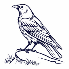 crow on a branch