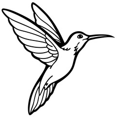 black and white hummingbird