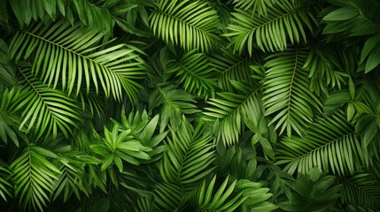 Lush Green Tree Foliage