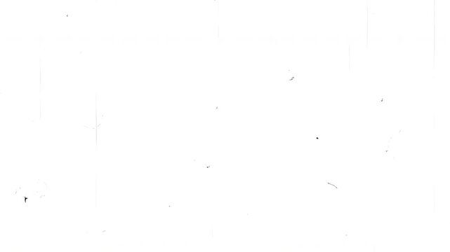 フィルムノイズ_03_背景透過
