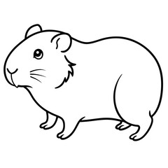guinea pig