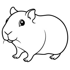 guinea pig