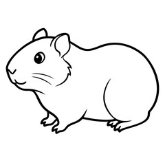 guinea pig
