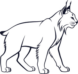 Lynx outline vector and illustration line art design on a white background.