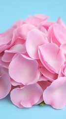 Fototapeta premium Soft Pink Rose Petals Romantic Delicate Flower Background