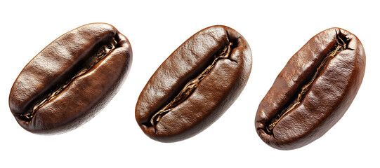 coffee bean collection isolated
