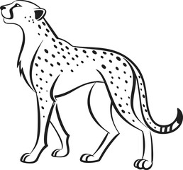 Fototapeta premium Cheetah outline vector and straightforward illustration line art design on a white background.