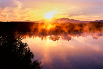 Fototapeta premium 日の出に輝く朝霧（美瑛町）