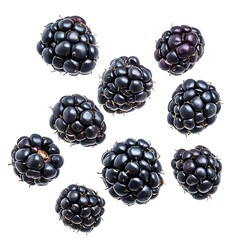 Fresh blackberries harvested in nature close-up natural light