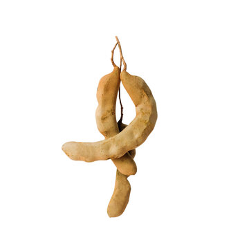 Sour tamarind fruits on white background.