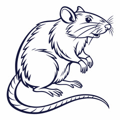 illustration of a squirrel