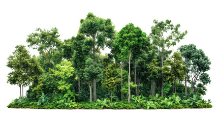 Lush green forest isolated transparent background