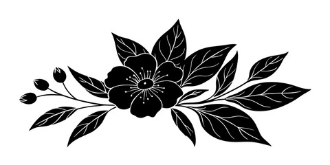 black and white flower isolated