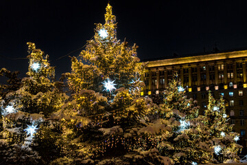 christmas tree at night