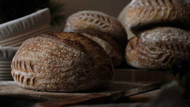 Artisan Batard Sourdough healthy Bread with leaf scoring. Open crumb high hydration Sourdough bread set on table.