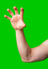 Hand raised against a vibrant green background