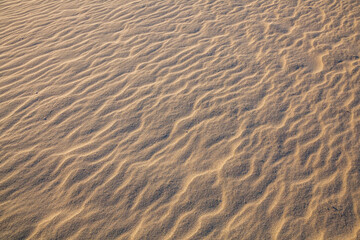 秋の鳥取砂丘とその紋様 鳥取県 鳥取砂丘