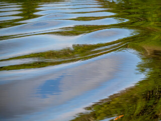The water surface of the Amazon is very suitable as a background image.
