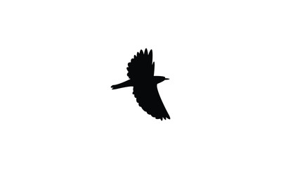 Flying Wheatear Bird Silhouette Design  And Vector Illustration. 