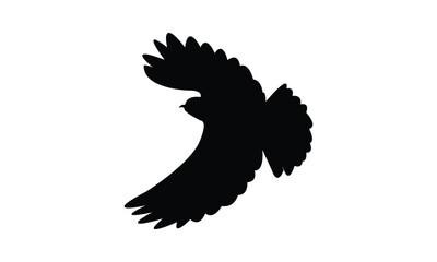 Flying Wheatear Bird Silhouette Design  And Vector Illustration. 