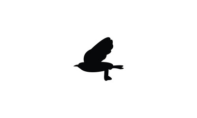 Flying Wheatear Bird Silhouette Design  And Vector Illustration. 