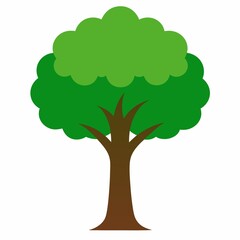 tree isolated on white background