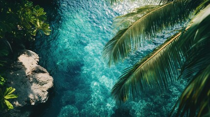 Tropical lagoon with crystal clear waters and lush palm trees creating an inviting and serene atmosphere for relaxation and escape