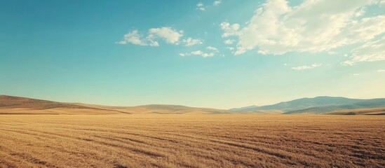 Fototapeta premium Spring field landscape with freshly harvested potatoes and empty space for text ideal for agricultural or food-related projects