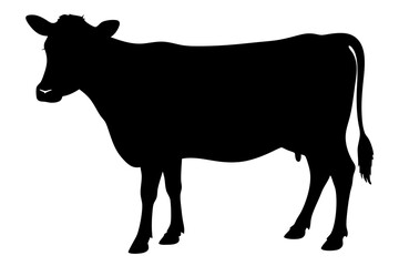 Cow Silhouette vector illustration