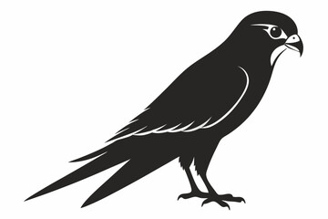 Fototapeta premium American kestrel silhouette icon vector