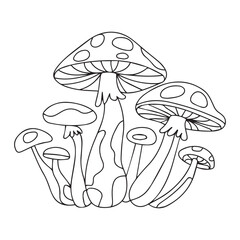 Coloring page. Cartoon cute mushroom illustration. Childish design for kids activity colouring book. Vector colorless picture. Freehand sketch