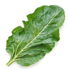 Leaf of Chinese cabbage isolated on white background. Clipping Path