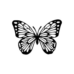 a detailed line art drawing of a butterfly illustration