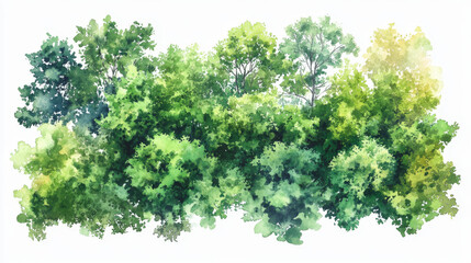 Fototapeta premium Lush green tree tops in vibrant watercolor painting
