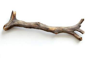 Fototapeta premium Driftwood branch against white background.
