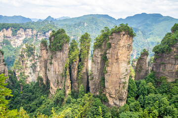 Mountains and forests in Zhangjiajie scenic area, Hunan Province, China