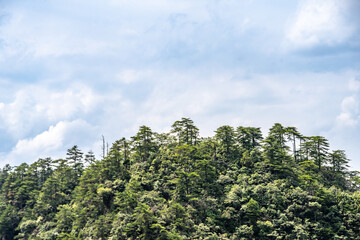 Mountains and forests in Zhangjiajie scenic area, Hunan Province, China