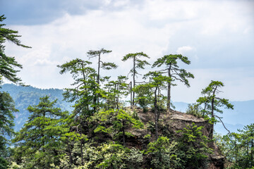 Mountains and forests in Zhangjiajie scenic area, Hunan Province, China