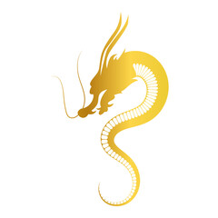 Chinese  New Year Dragon