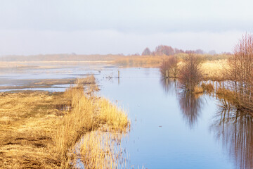 Water canal with a flooded meadow in the spring