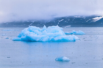 Iceberg in a fjord in Svalbard