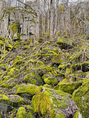 Blockfield by a crag at a mountain