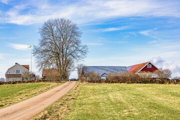 Fototapeta premium Gravel road to a farmstead in the swedish countryside on a sunny day at spring