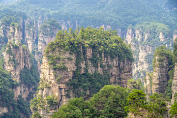 Mountains and forests in Zhangjiajie scenic area, Hunan Province, China