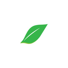 Leaf logo vector icon design template