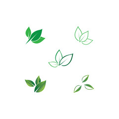 Leaf logo vector icon design template