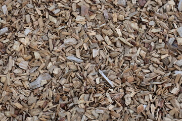 Wooden chips on the ground closeup look